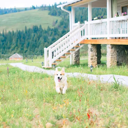кантрі-клуб тиша Дом отдыха Изки