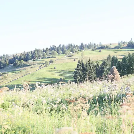 кантрі-клуб тиша Дом отдыха